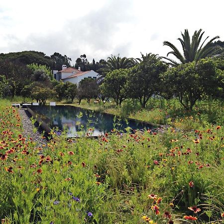 Quinta Do Miguel Villa Aldeia do Meco Dış mekan fotoğraf