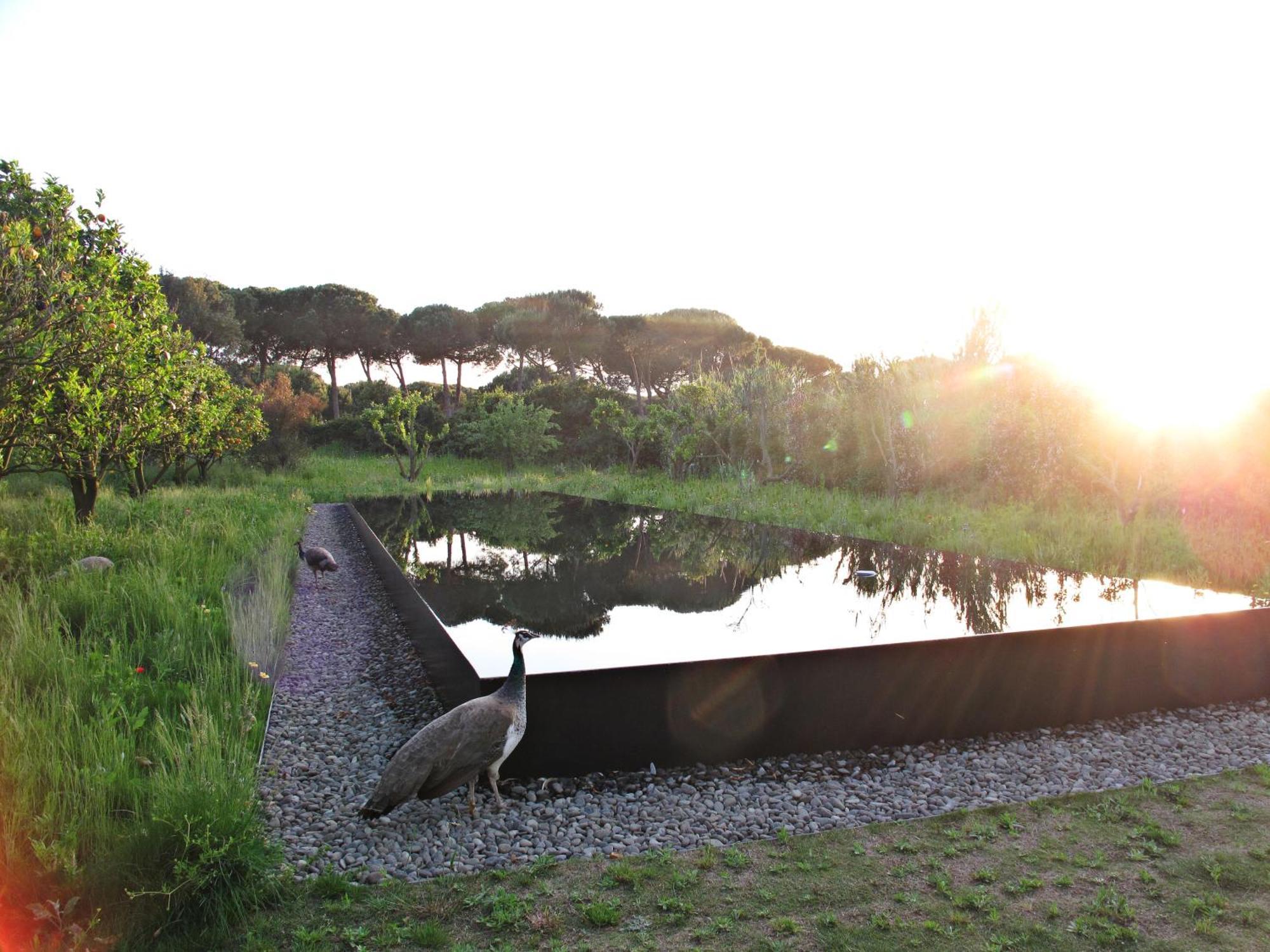 Quinta Do Miguel Villa Aldeia do Meco Dış mekan fotoğraf