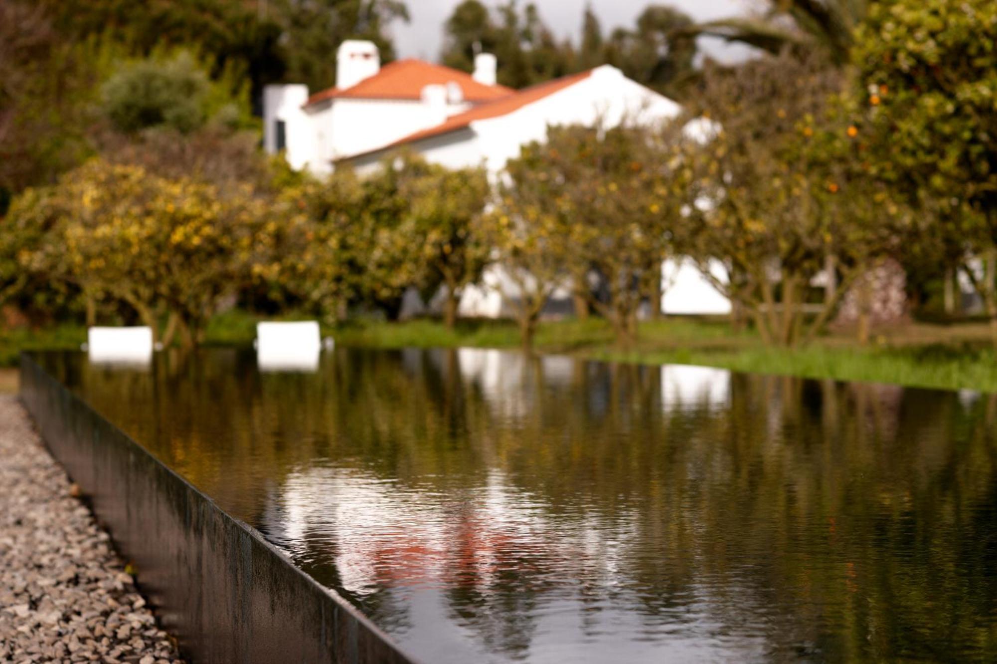 Quinta Do Miguel Villa Aldeia do Meco Dış mekan fotoğraf