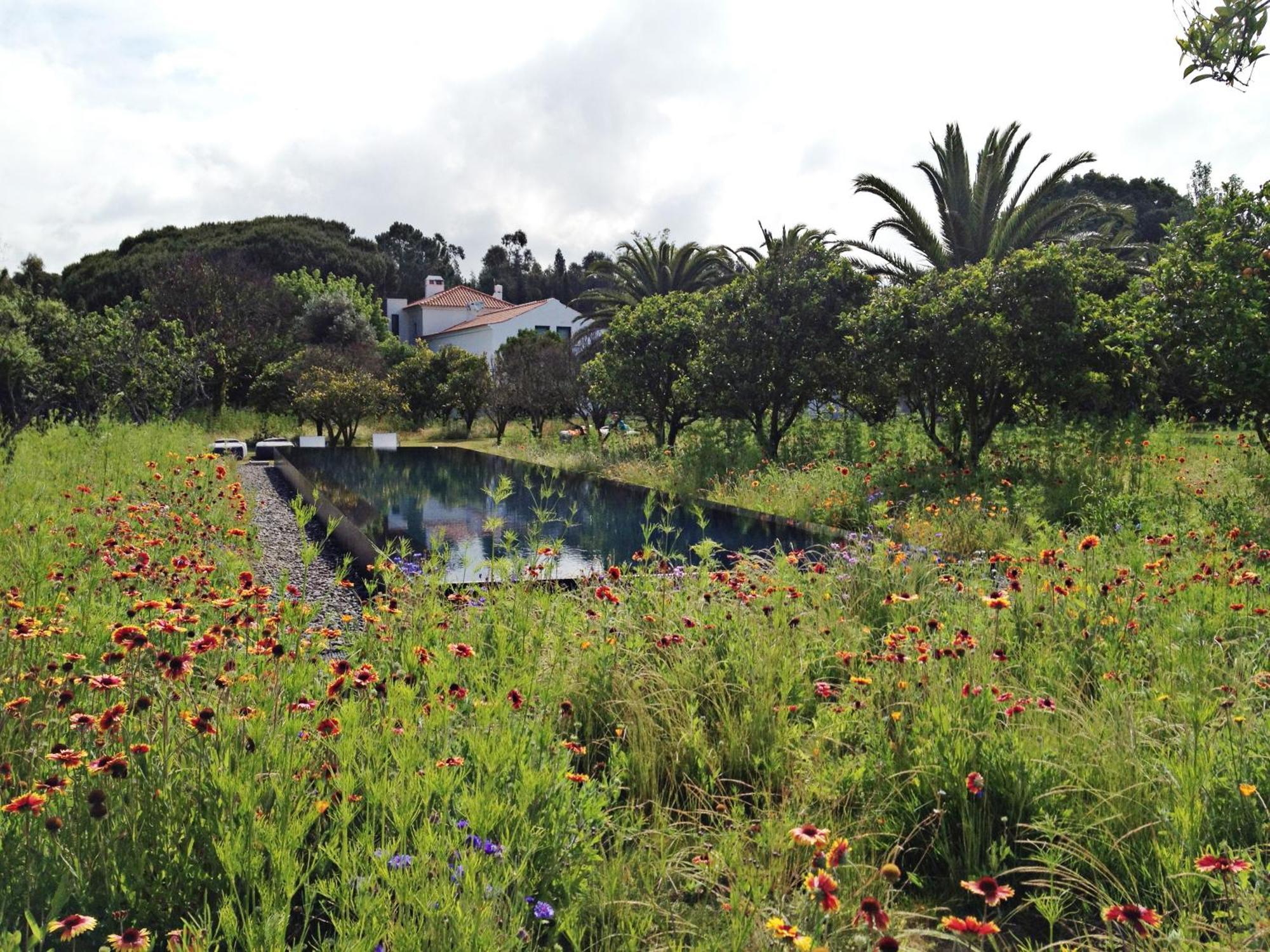 Quinta Do Miguel Villa Aldeia do Meco Dış mekan fotoğraf
