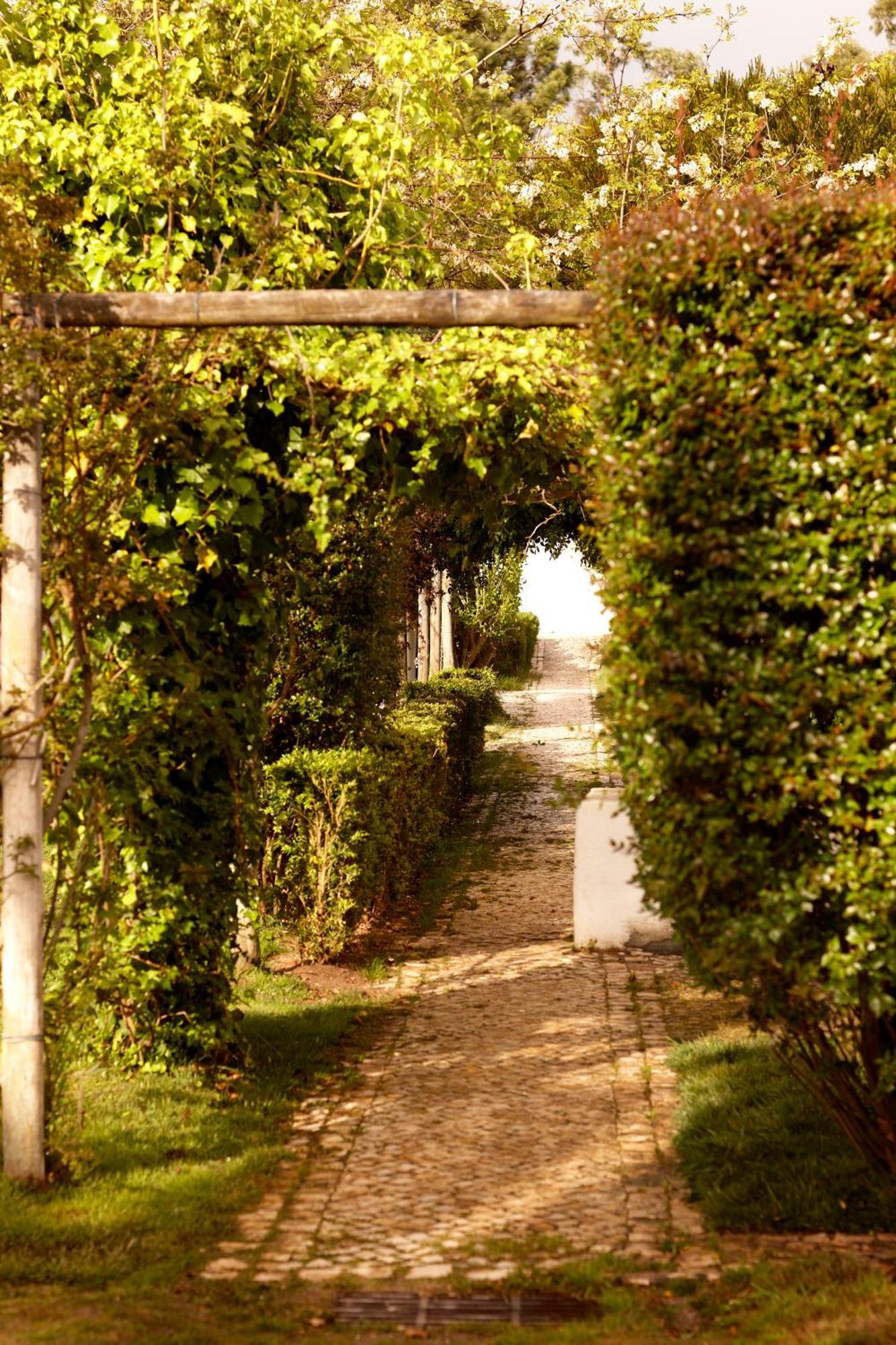 Quinta Do Miguel Villa Aldeia do Meco Dış mekan fotoğraf