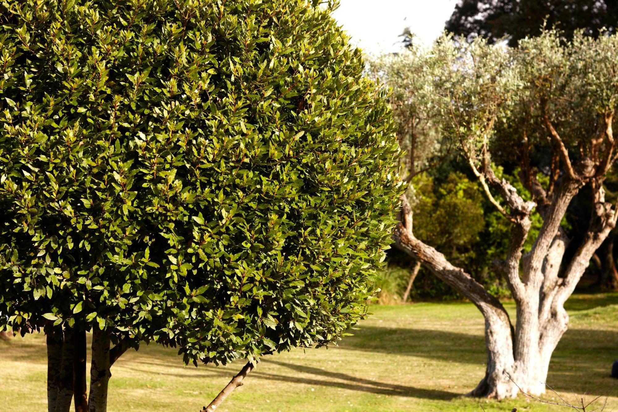 Quinta Do Miguel Villa Aldeia do Meco Dış mekan fotoğraf