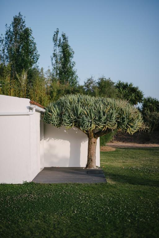 Quinta Do Miguel Villa Aldeia do Meco Dış mekan fotoğraf